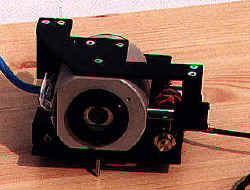 cat.jpg (13096 bytes)